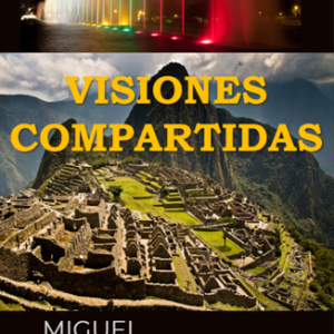 Visiones compartidas