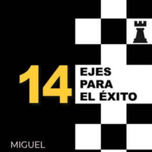 14 ejes para el éxito